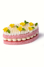 Pink Lamington Cake