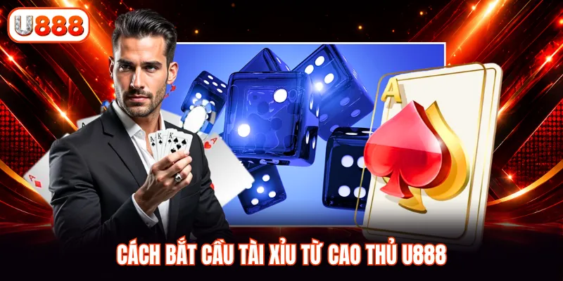 Cách bắt cầu tài xỉu từ cao thủ U888