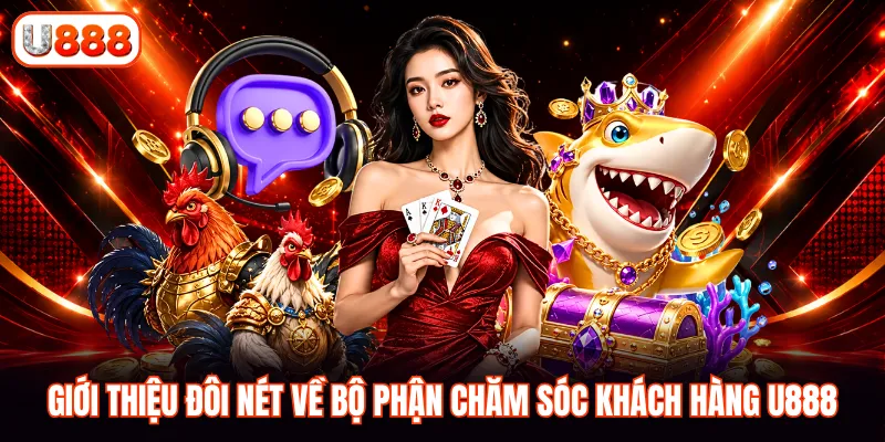 Giới thiệu đôi nét về bộ phận chăm sóc khách hàng U888