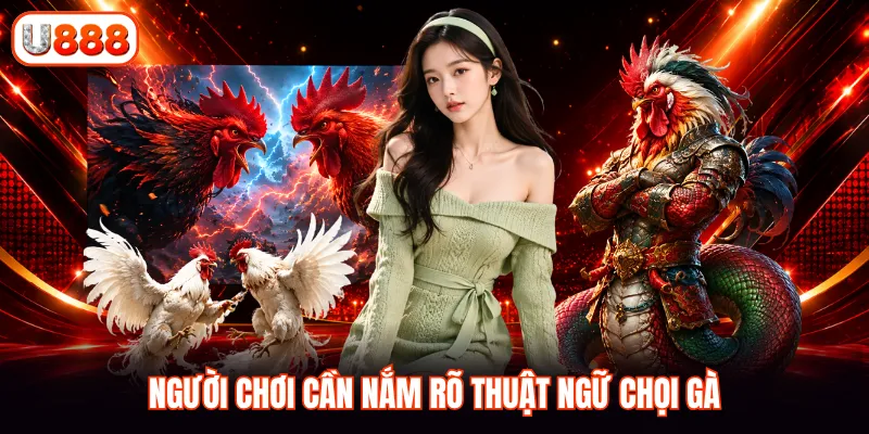 Người chơi cần nắm rõ thuật ngữ chọi gà